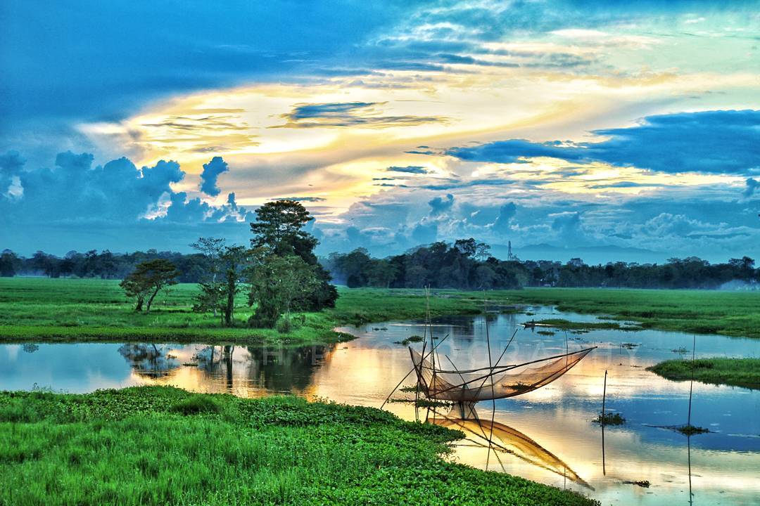 Assam Packages