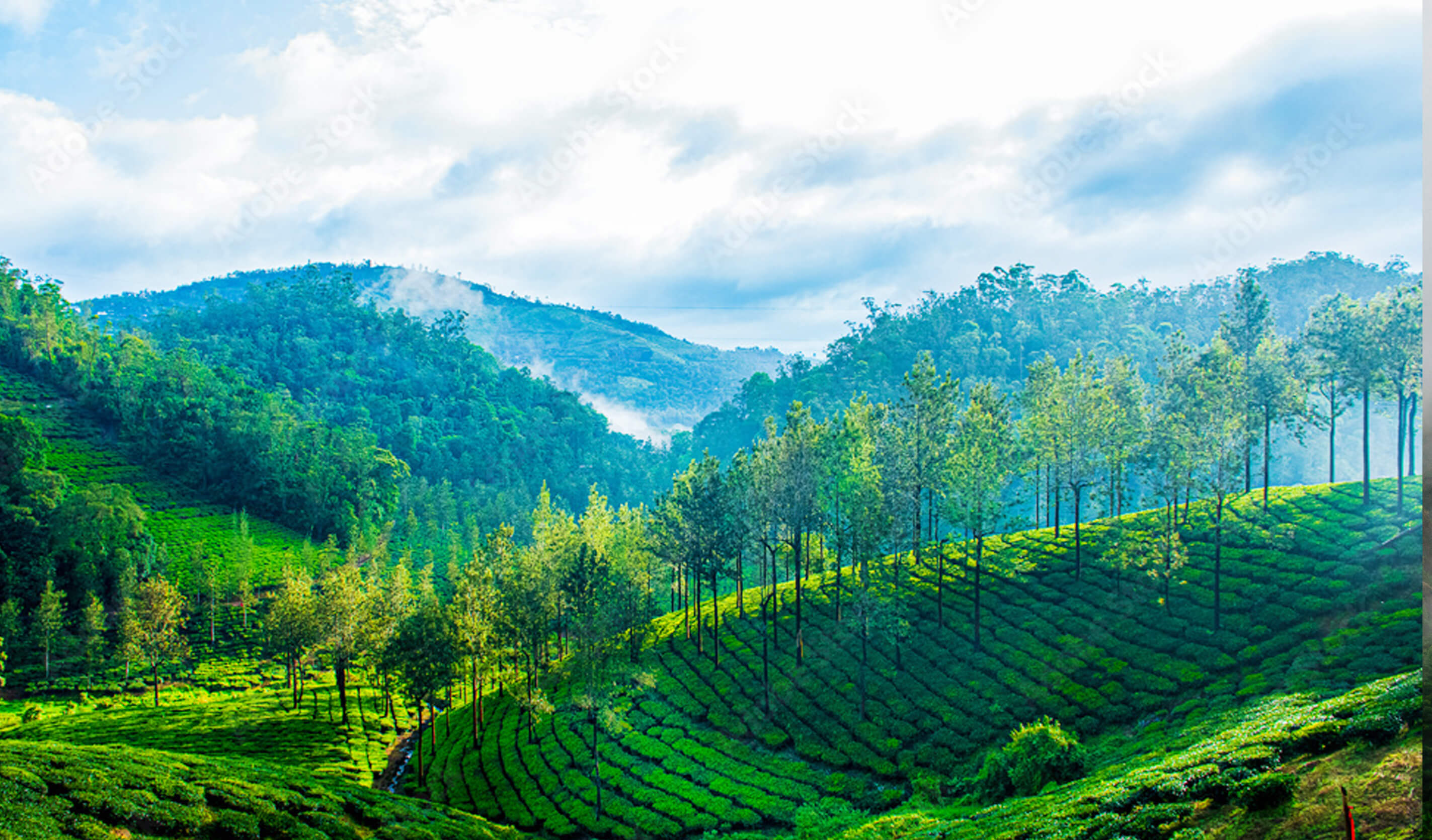 Kerala Packages